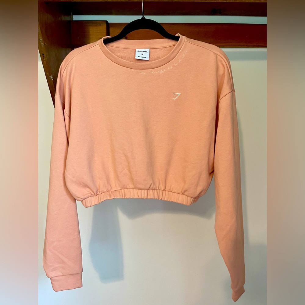Whitney Simmons cropped pullover